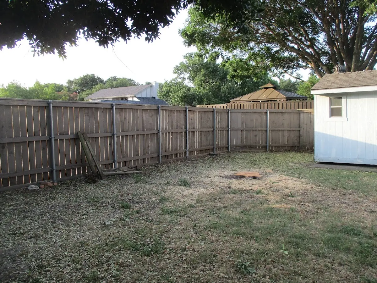 Cleared yard after professional tree removal in Ellwood City