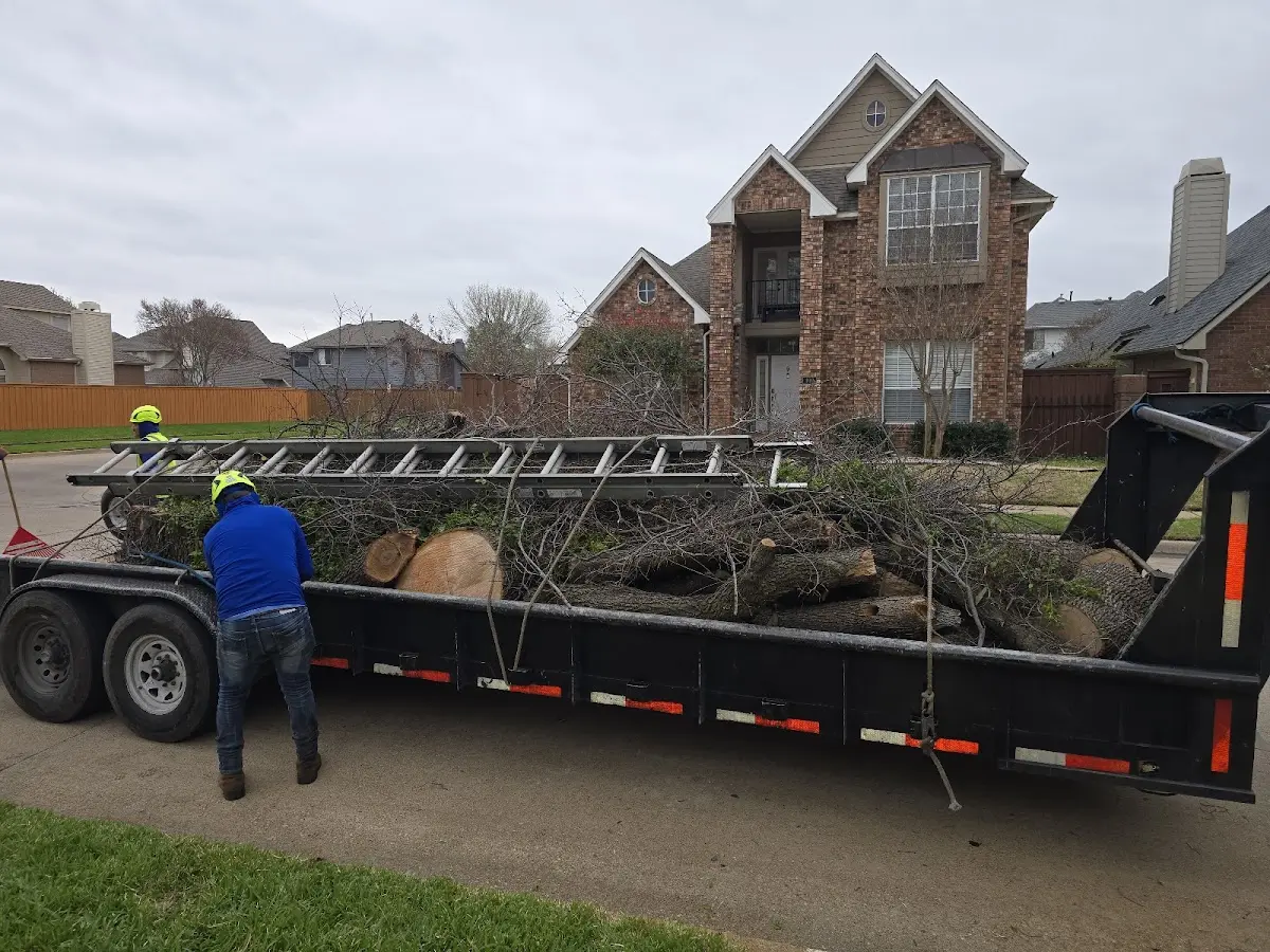 Expert Crown Reduction with proper safety equipment in Ellwood City